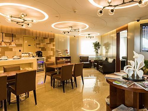 AVINEX VIP