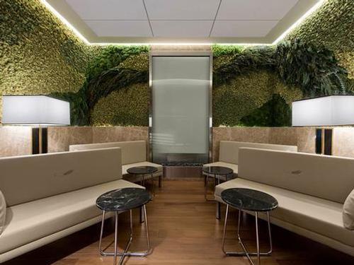 Turkish Airlines Lounge Washington, Washington DC Dulles Intl, USA Turkish Airlines Lounge Washington, Washington DC Dulles Intl, USA