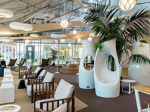 The Canopy Lounge
