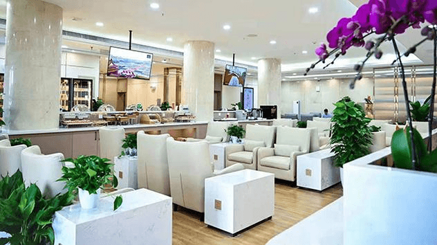 China Southern First/Business Class Lounge