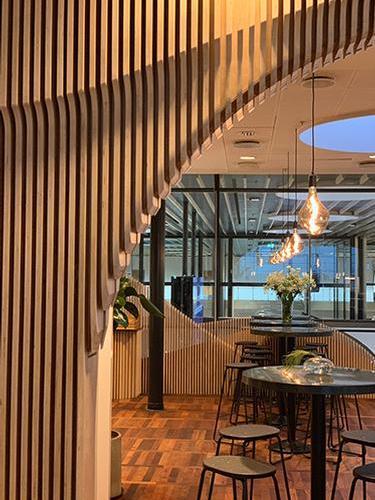 Carlsberg Aviator Lounge