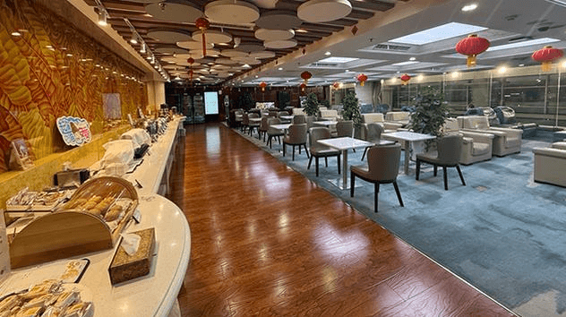 China Southern First/Business Class Lounge