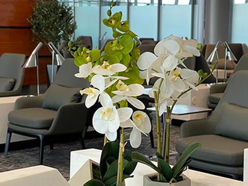 Hayyak Lounge_Taif_Saudi Arabia Hayyak Lounge_Taif_Saudi Arabia