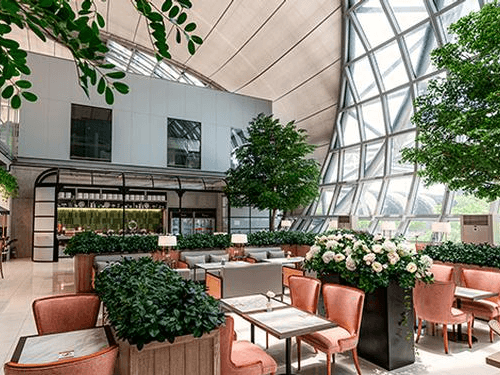 The Coral Executive Lounge