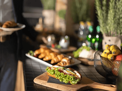 Business Lounge_Ljubljana_Slovenia Business Lounge_Ljubljana_Slovenia