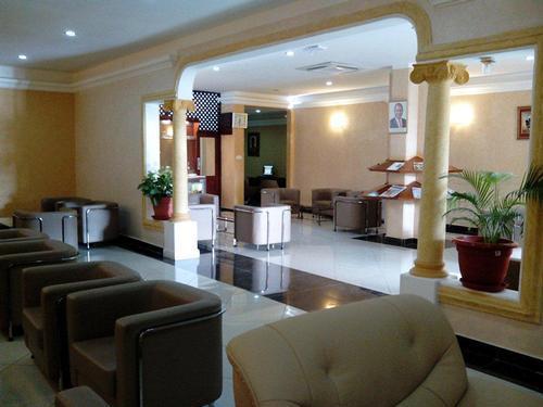Safari Comfort Lounge